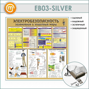 ����� ��������������������. ���������� � �������� ����� (EB-03-SILVER)