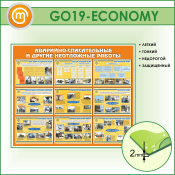 ����� ���������-������������ � ������ ���������� ������� (GO-19-ECONOMY)