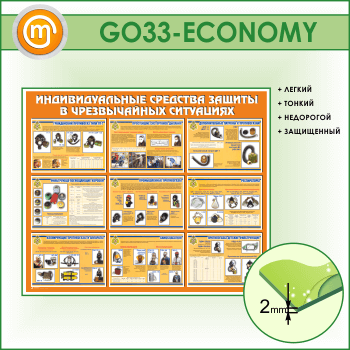 ����� ��������������� �������� ������ � ������������ ���������� (GO-33-ECONOMY)
