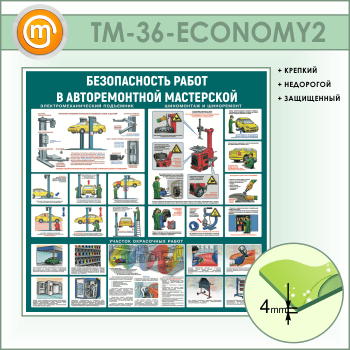 ����� ������������� ����� � ������������� ���������� (TM-36-ECONOMY2)