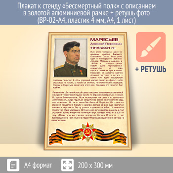 ������ � ������ ������������ ���� � ��������� � ������� (�������) ����������� ����� + ������ ���� (BP-02-A4, ������� 4 ��, �4, 1 ����)