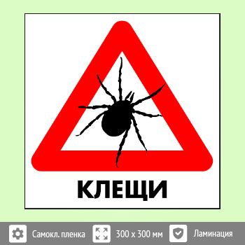 ���� ������, B97 (������ c ��������������, 200�200 ��)