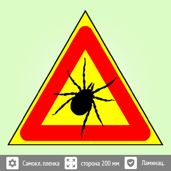 ���� ������, B98 (������ c ��������������, ������� 300 ��)