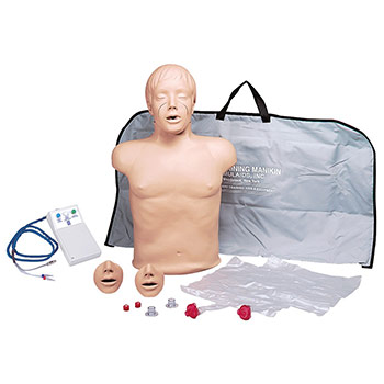 ��������-������� �Brad� ��� ��������� ������� ���