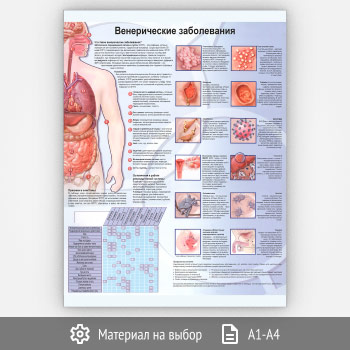 ������ ������������� ������������ (���-06, 1 ����)