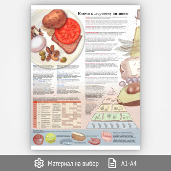 ������ ������ � ��������� �������� (���-10, 1 ����)