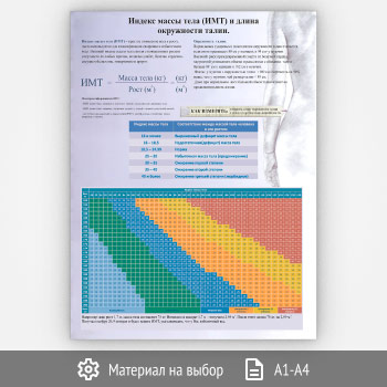 ������ ������� ����� ���� (���) � ����� ���������� ����� (���-12, 1 ����)