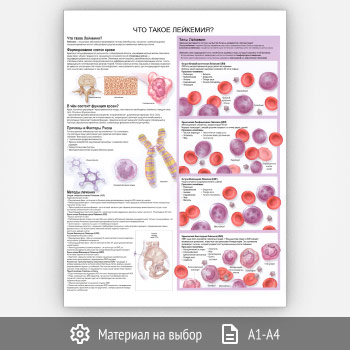 ������ ���� ����� ��������?� (���-16, 1 ����)